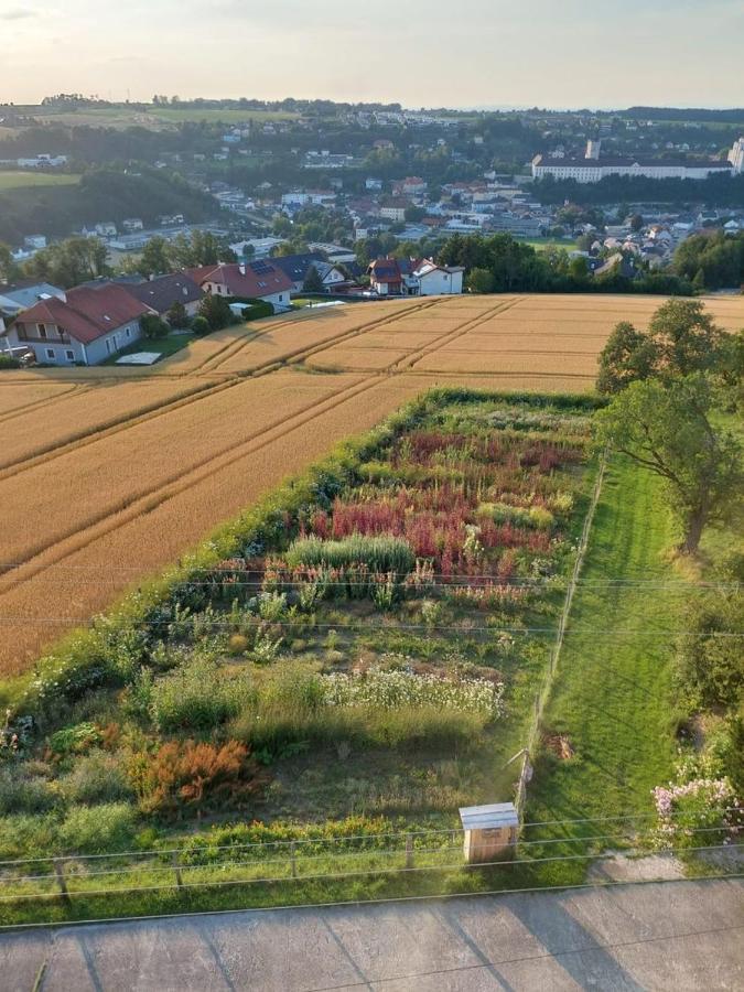 Wildkraut'S Kraeuterbauernhof - Ferienwohnung Kremsmünster Dış mekan fotoğraf