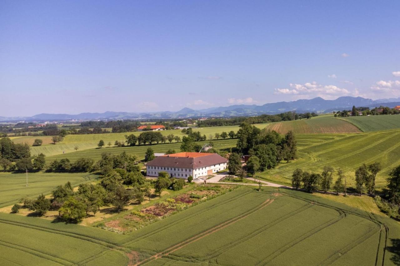 Wildkraut'S Kraeuterbauernhof - Ferienwohnung Kremsmünster Dış mekan fotoğraf