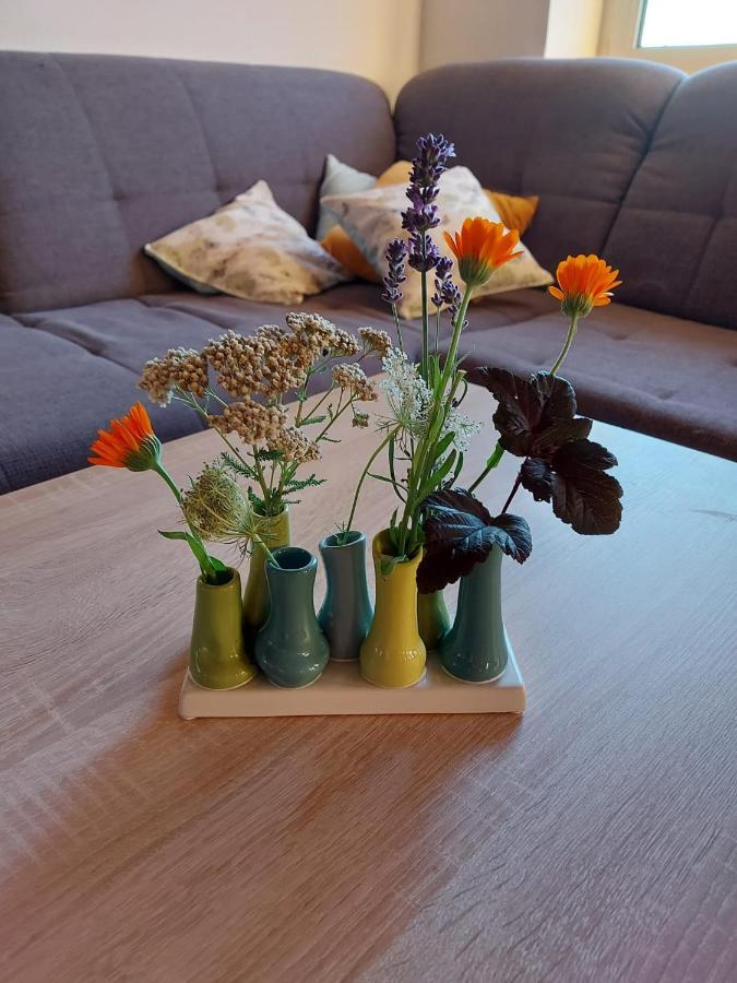 Wildkraut'S Kraeuterbauernhof - Ferienwohnung Kremsmünster Dış mekan fotoğraf