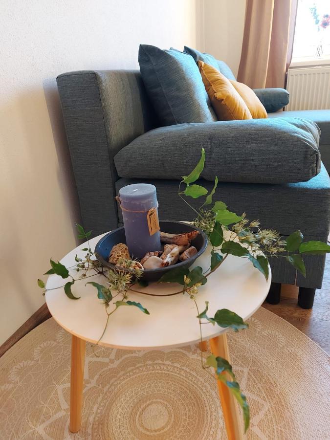 Wildkraut'S Kraeuterbauernhof - Ferienwohnung Kremsmünster Dış mekan fotoğraf